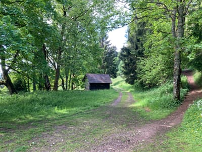Photo de La vieille Métairie (ou abri Burger)