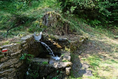Photo de Maison forestière de l'Estanyol