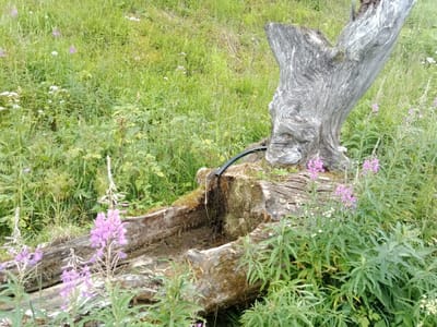 Photo de Fontaine du Vargnoz