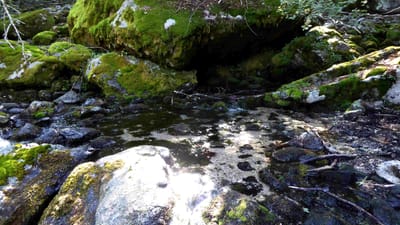Photo de Résurgence de la Gravona