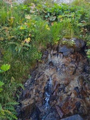 Photo de Source du Lac Lauvet