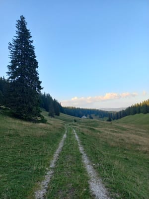 Photo de Les Begnines