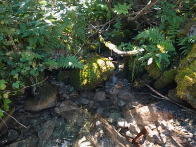Photo de Point d'eau de Mallentraz Haut