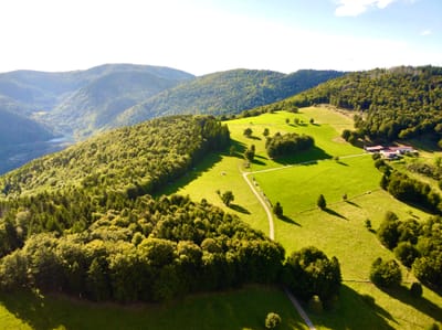 Photo de Lagerwald Hütte (Le Gresson)
