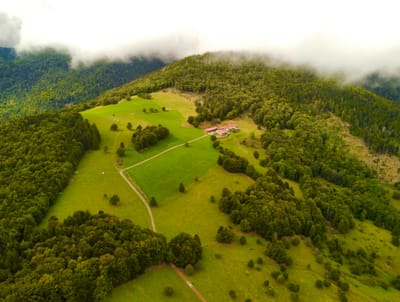 Photo de Lagerwald Hütte (Le Gresson)