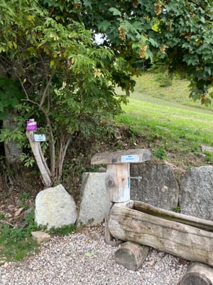 Photo de Source de La Sierre