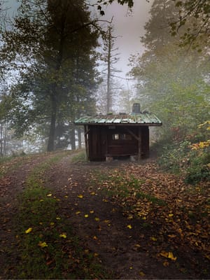 Photo de Cabane du Dersou