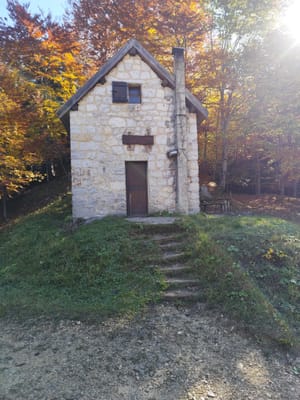 Photo de Abri forestier de la Roize