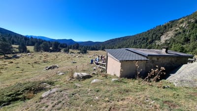 Photo de Refuge du Pla de Gril