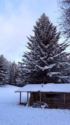Photo de Cabane des Charbonniers