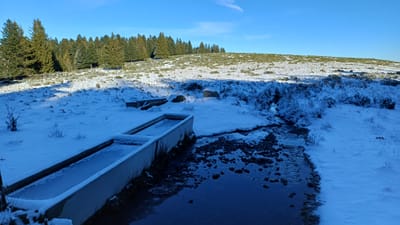 Photo de Abreuvoir du Bouya