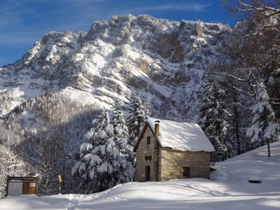 Photo de Abri forestier de la Roize