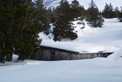 Photo de Cabane du Grand Pôt