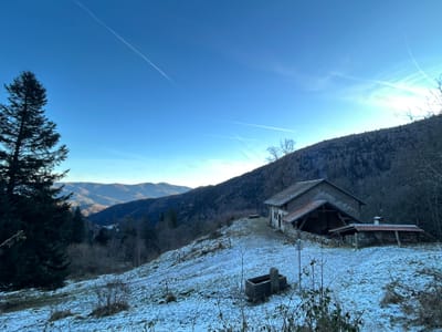 Photo de Cabane de Gazon Vert
