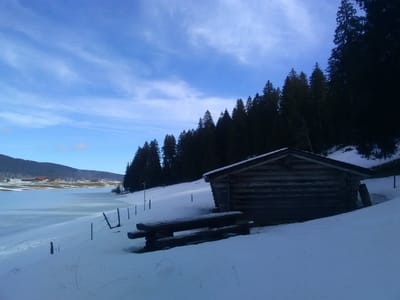 Photo de Abri du Lac des Taillères