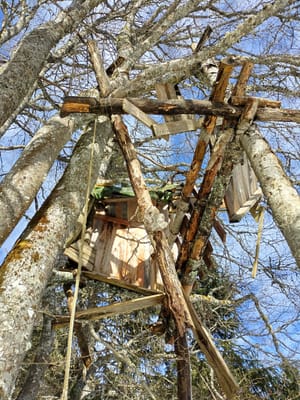 Photo de Cabane perchée de Pré Bouclier