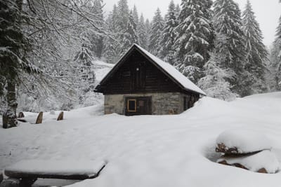 Photo de Baraque de Cohardin