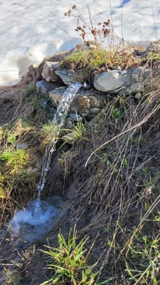 Photo de Source de l'Essaure