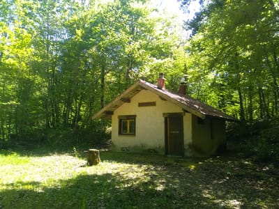 Photo de Baraque du Gouillat Faisan