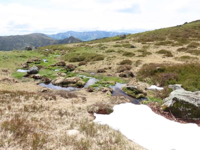Photo de Source du puy de Peyre Arse
