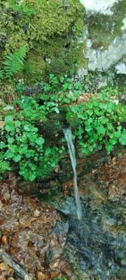 Photo de Fontaine de Caracutu