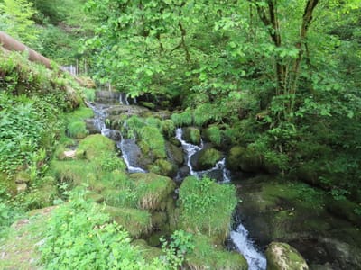 Photo de Source de la Doue