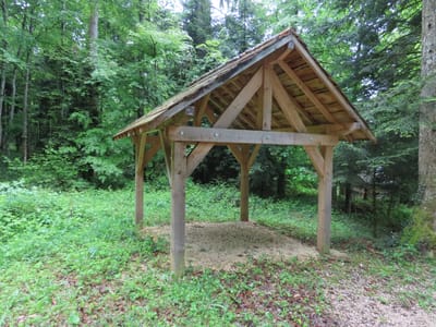Photo de Abris de la forêt de la Joux