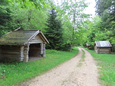 Photo de Abris de la forêt de la Joux