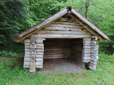 Photo de Abris de la forêt de la Joux