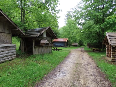 Photo de Abris de la forêt de la Joux
