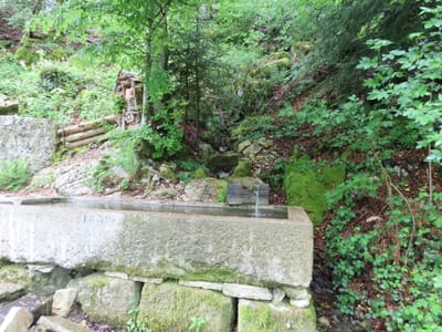 Photo de Source sous Urtière