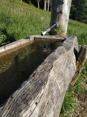 Photo de Chalet du Trousset