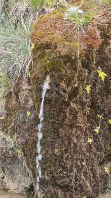 Photo de Source du Piouret