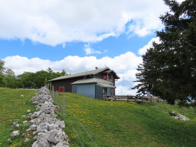 Photo de Cabane de la gym C.A.S.