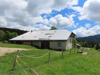 Photo de La Petite Echelle