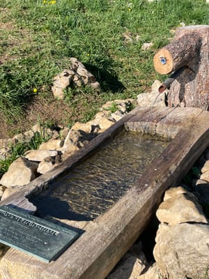 Photo de Fontaine des Bachassons