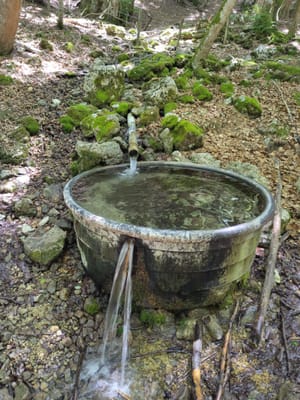 Photo de Fontaine des Sangliers