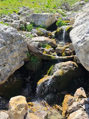 Photo de Fontaine du Veymont