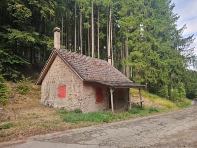 Photo de Pfostenhiesel
