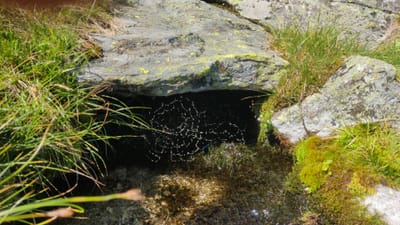 Photo de Les sources du plan