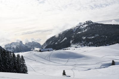 Photo de Gîte Notre Dame des Neiges