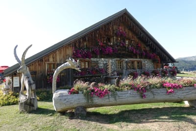 Photo de Gîte Notre Dame des Neiges