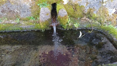 Photo de Fontaine et Lavoir de Virargues