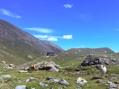 Photo de Bivacco Angelo Valmaggia