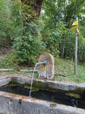 Photo de Fontaine du village ruiné de La Chapelle